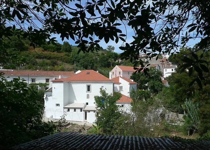 Ribeira Dos Marinheiros Amarelo