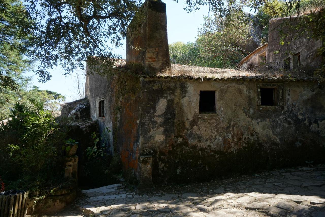 Ribeira Dos Marinheiros Amarelo *